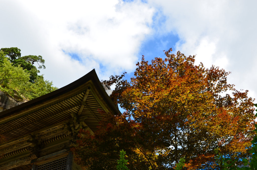 DSC_3112[1]