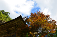DSC_3112[1]