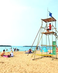 海