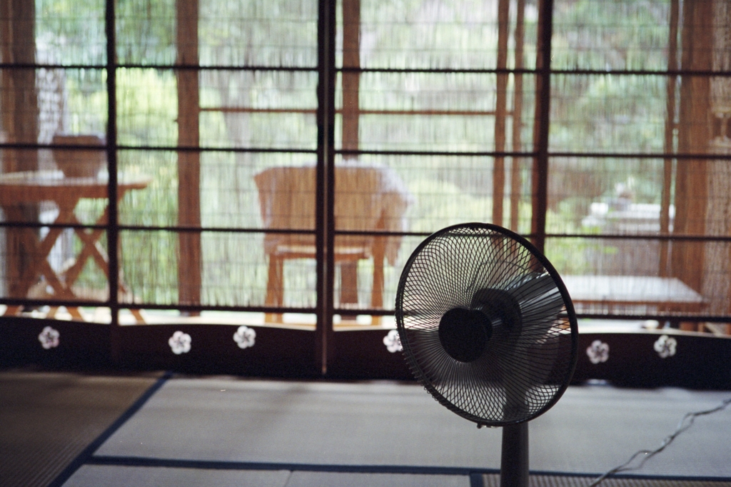 夏の記憶