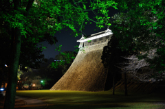 夜のお散歩熊本城