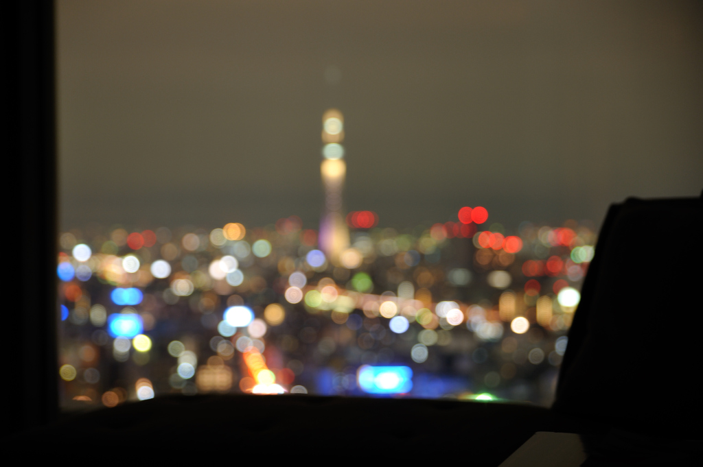 夜光に融ける