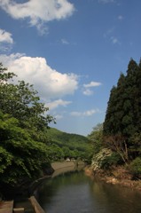 新緑と青空