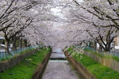 IMGP0416
