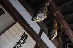 IMGP0478