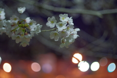 春夜