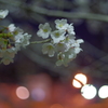 春夜