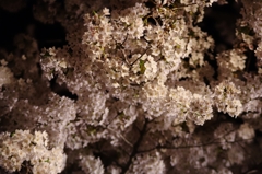IMGP0436
