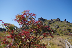 IMGP3717