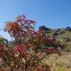 IMGP3717