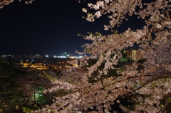 IMGP0444