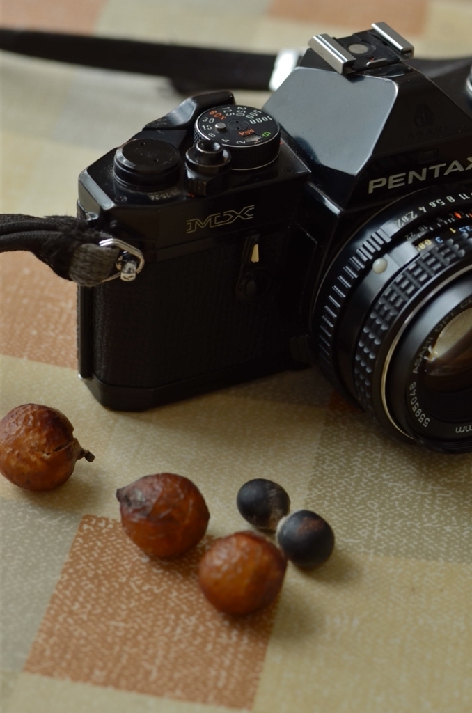 PENTAX 　MX