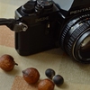 PENTAX 　MX
