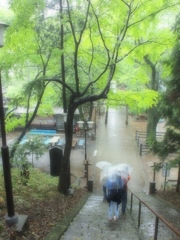 雨の川越より