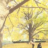 黄色の中で
