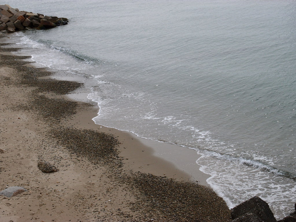 冬海。