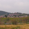 遠桜。