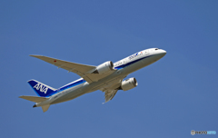 ANA 787-8 JA831A 離陸 