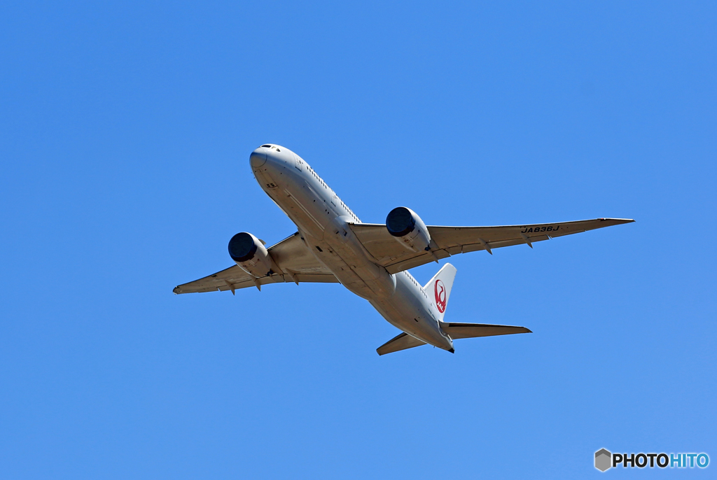 「SKY」 JAL 787-8 JA836J Takeoff
