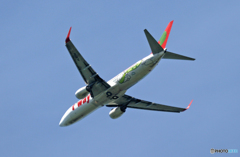 離陸 t'way 737-8Q8 HL8294