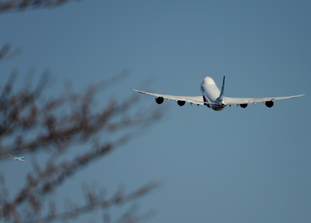 NCA 747-8KZF  離陸+