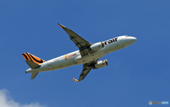 [青空] tigerair A320-232 B-50015