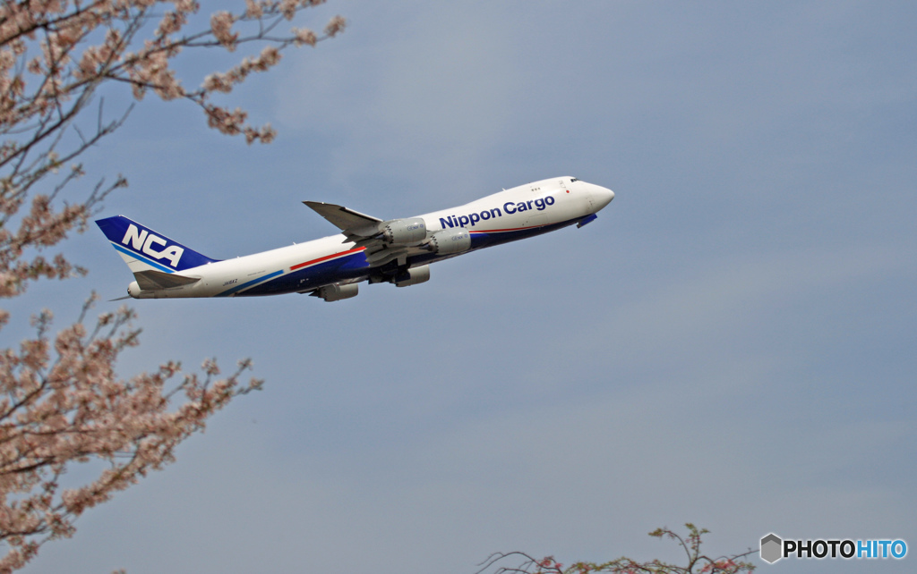 「Nippon」　の　「ジャンボ機」