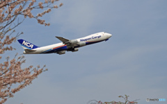 「Nippon」　の　「ジャンボ機」