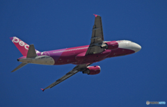 飛び立ち　peach A320-214 JA816P