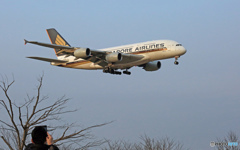 Singapore A380-841 9V-SKN