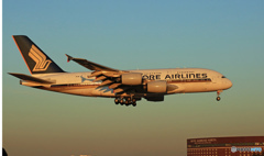 Singapore A380-841 9V-SKP 着陸 