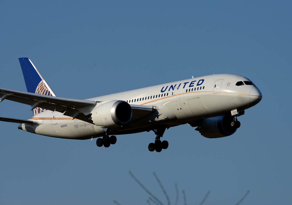 UNITED 787-8 到着