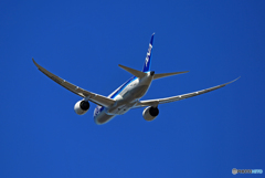 ☀ ANA 787-8 JA813A 飛び立ち