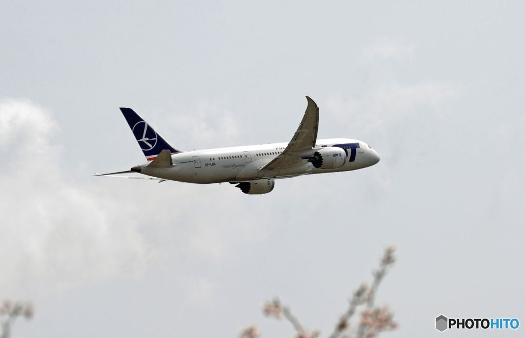 LOT 787-8 SP-LRA 飛び立ち　