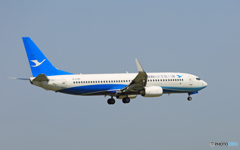 「青色が好き」  厦門航空 737-86N B-5388 Landing