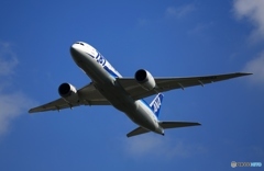 離陸  ANA 787-8 JA806A