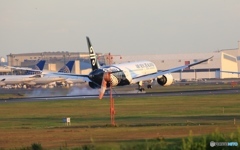 ✈Air New Zealand B787-9 ZK-NZC☮Landing