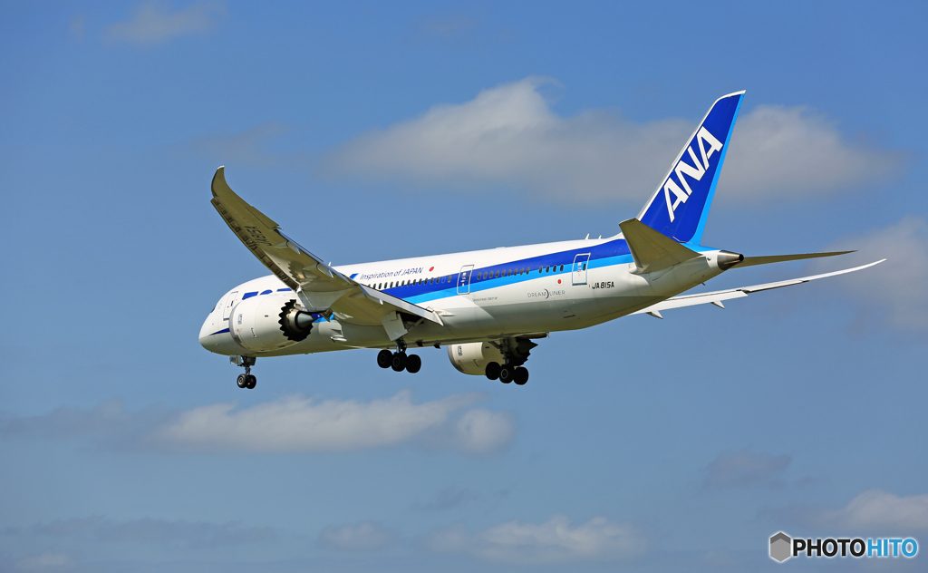 「青い空」 ANA 787-8 JA815A