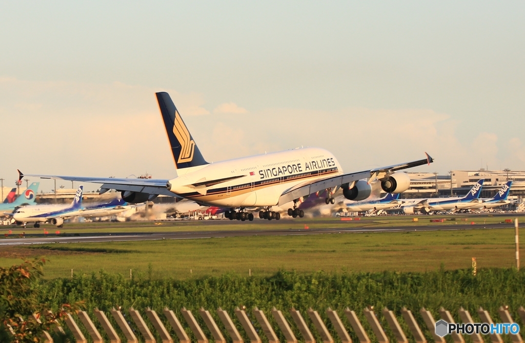 着陸　Singapore A380-841