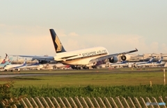 着陸　Singapore A380-841