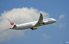JAL 787-9 JA862J 出発 