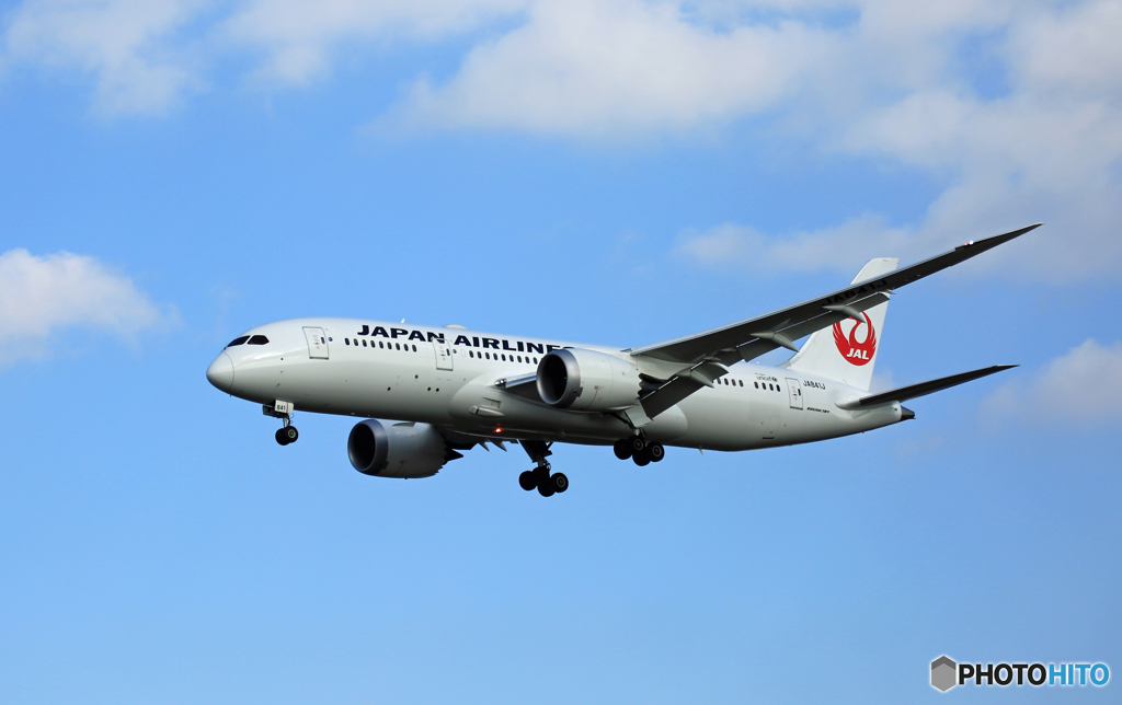 着陸 JAL 787-8 JA841J