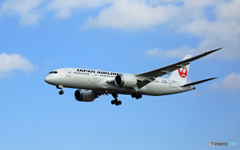 着陸 JAL 787-8 JA841J