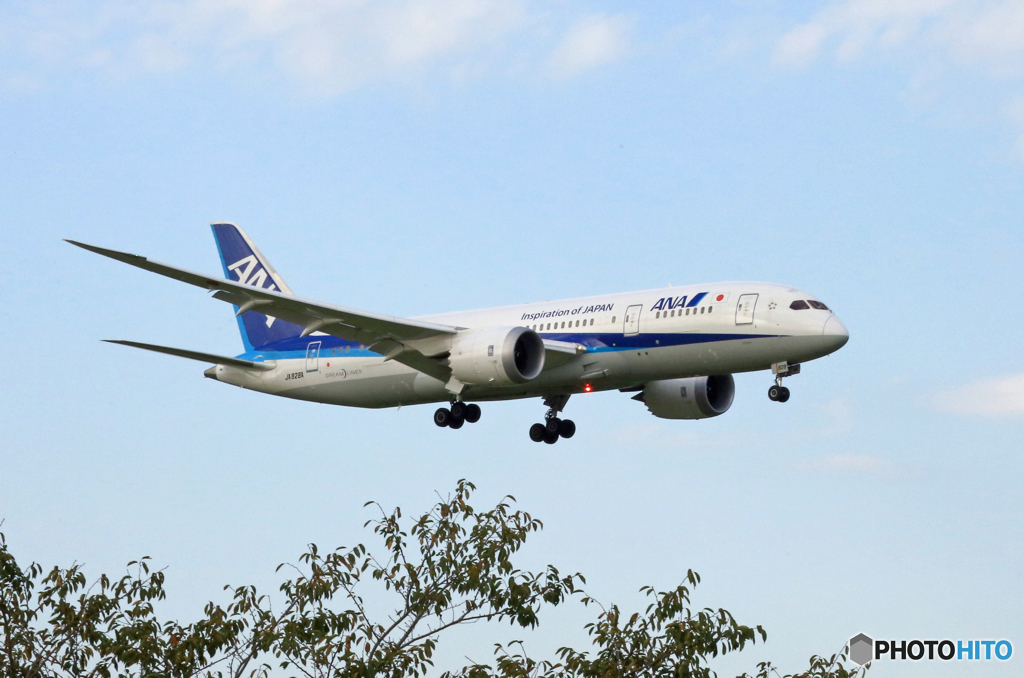 到着　ANA 787-8 JA828A