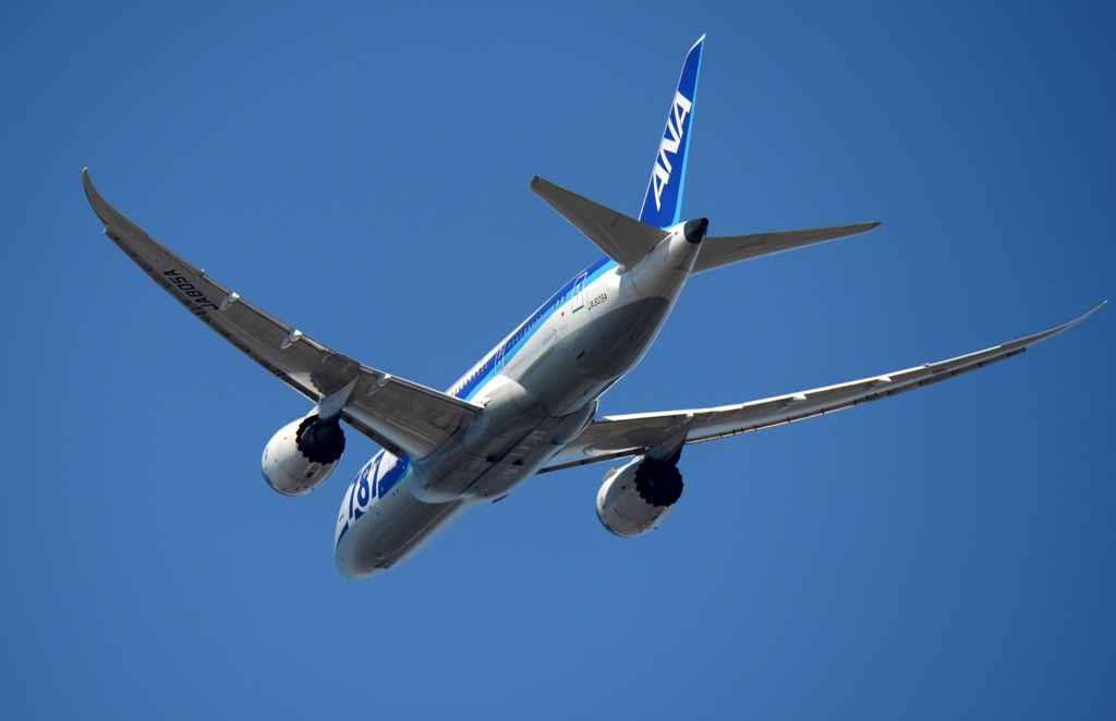 ANA 787-8 