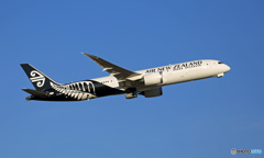 ✈明けましておめでとうございます