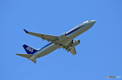 出発 ANA 737-881 JA69AN