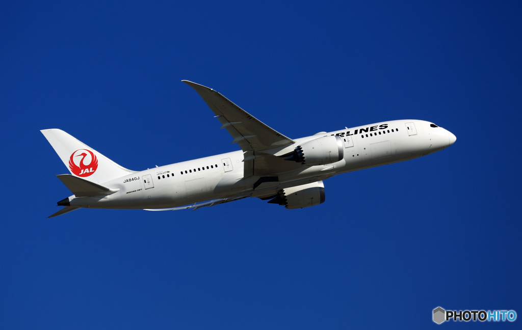 JAL 787-8 JA840J 離陸  