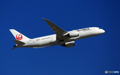 JAL 787-8 JA840J 離陸  