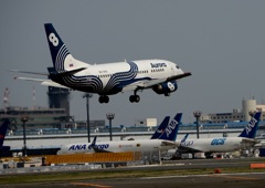 Aurora 737-500 到着　